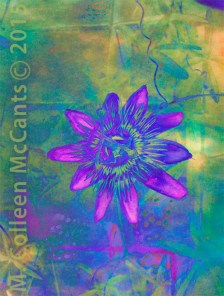 purplgrnflt_sm_colleenmc