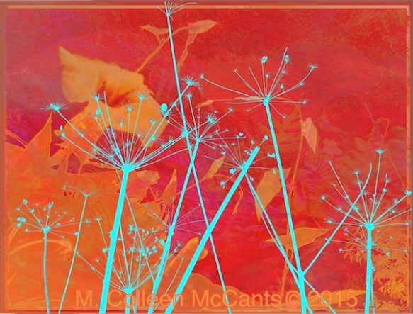 rd_mglory_sm_colleenmccants